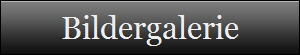 Bildergalerie
